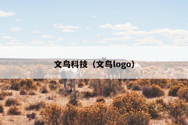 汇金网