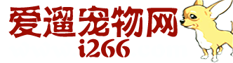 爱遛宠物网