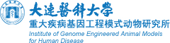 重大疾病基因工程模式动物研究所