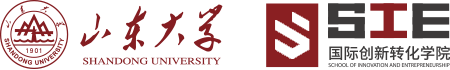 山东大学国际创新转化学院