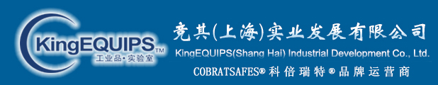 竞其实业KingEQUIPS