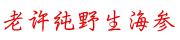 怎样选购海参