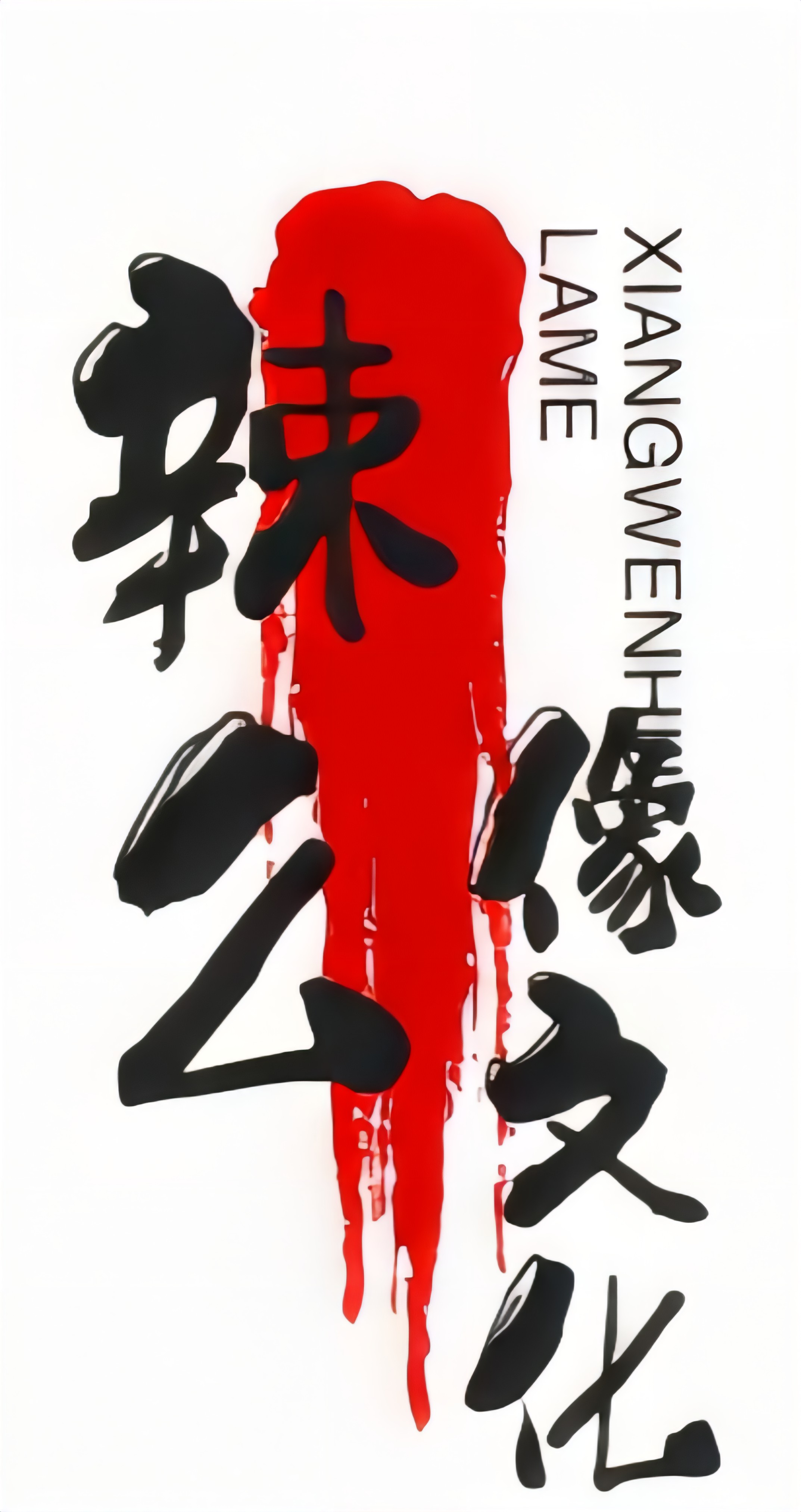 六安辣么像文化艺术有限公司