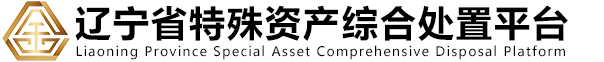 辽宁省特殊资产综合处置平台