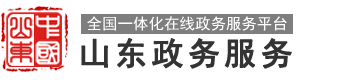 山东政务服务网 临沂市•河东区