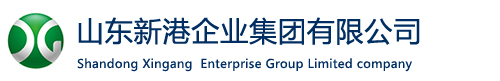 山东新港企业集团有限公司