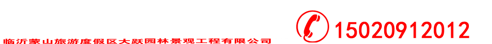大跃鹅卵石生产有限公司