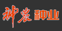 神农种业