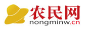 手机浏览
