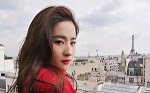 刘亦菲国际影迷会