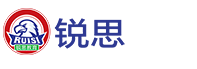 锐思培训