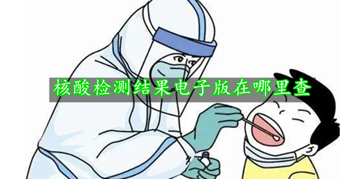 安卓app软件下载基地