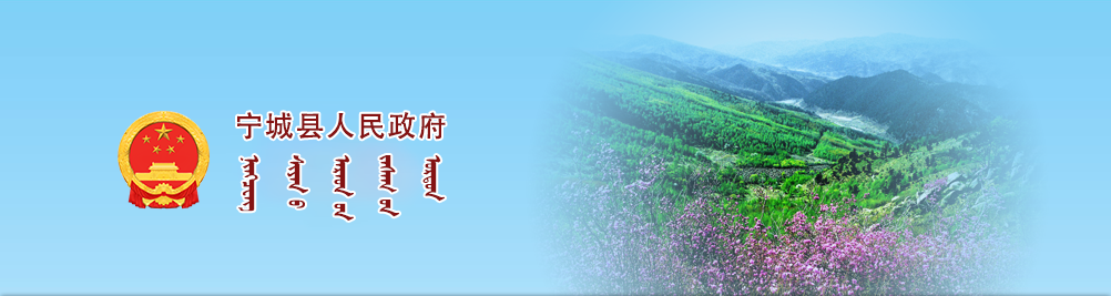 内蒙古赤峰市宁城县政府门户网站