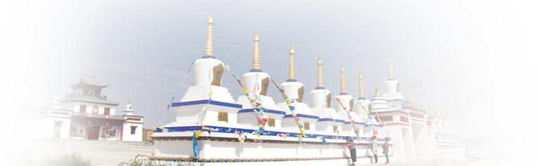 锡林郭勒盟苏尼特右旗政府门户网站