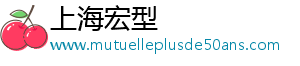 上海宏型科技有限公司