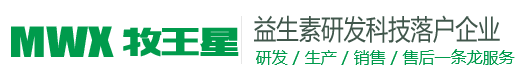 美队TV登录官网