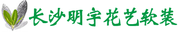 湖南植物墙，植物墙，仿真树，塑石假山，长沙明宇花艺软装设计公