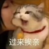 随意的世界