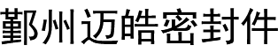 碳化硅密封件