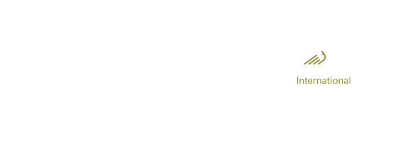 电子展