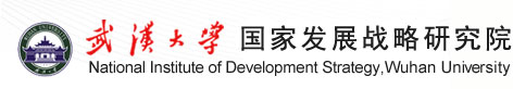 武汉大学国家发展战略研究院