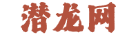 潜龙网