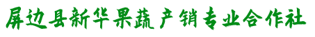屏边县新华果蔬产销专业合作社