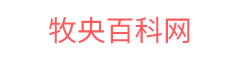 牧央百科网