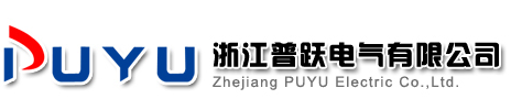 浙江普跃电气有限公司