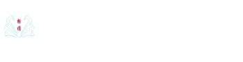成都标书代写公司