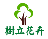 山东芝樱苗