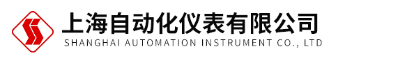 上海仪表公司
