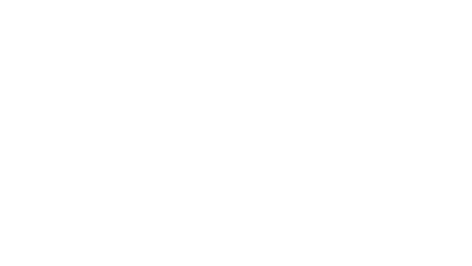 赛安