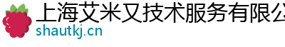 上海艾米又技术服务有限公司