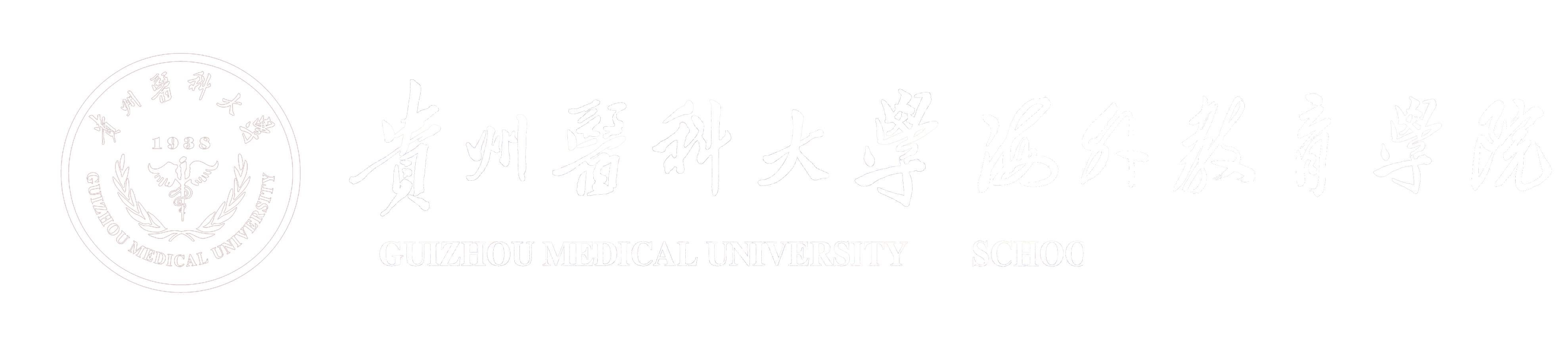 贵州医科大学海外教育学院
