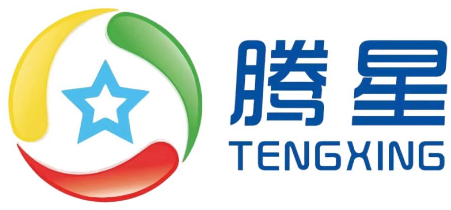 腾星数字科技（深圳）