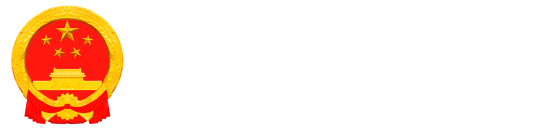 武汉长江新区政府门户网站