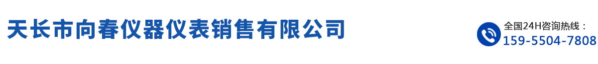 天长市向春仪器仪表销售有限公司