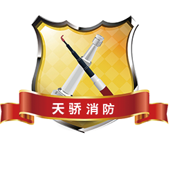 上海天骄消防