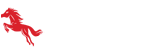 天津小铁马网络货运平台