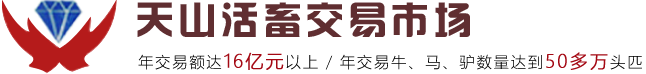 天山活畜交易市场,阿旗活畜交易市场，牲畜市场,天山活畜市场,阿旗活畜市场,牛交易、牛市场交易、牛市场、羊市场、牛行、驴马交易、羊交易
