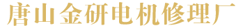 电机维修理