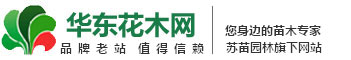手机浏览
