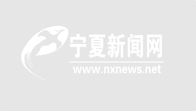 宁夏新闻网