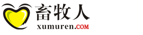 手机版