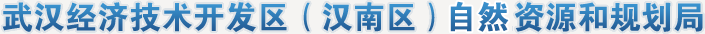 武汉经济技术开发区(汉南区)自然资源和规划局