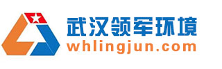 武汉市领军环境工程有限公司