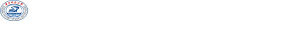 微纳平台