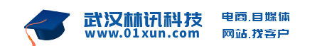 武汉林讯科技