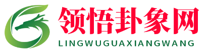领悟卦象网